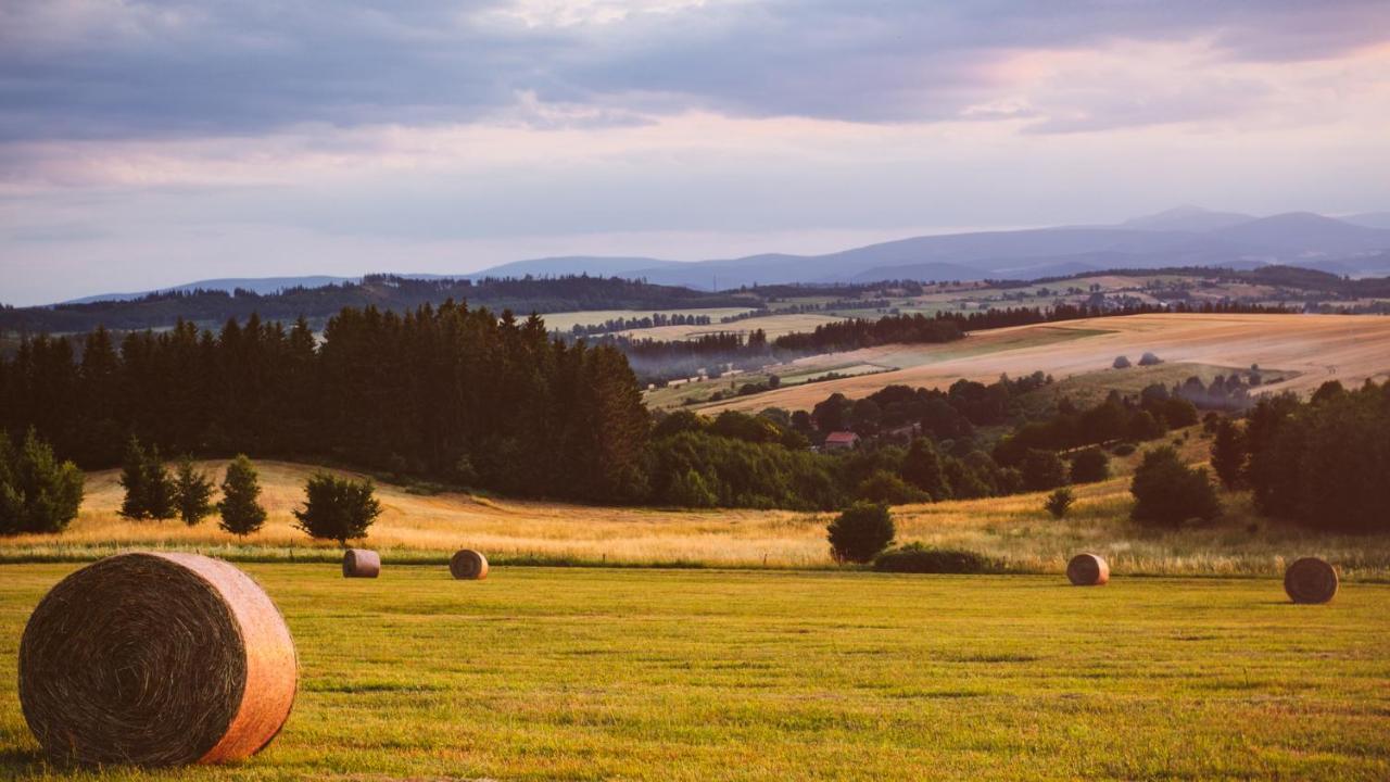 Hotel Piotr Spa&Wellness Boguszów-Gorce Eksteriør bilde